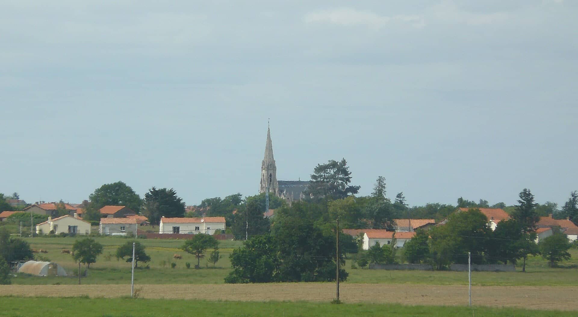 Photo de Aigrefeuille-sur-Maine (Loire-Atlantique)