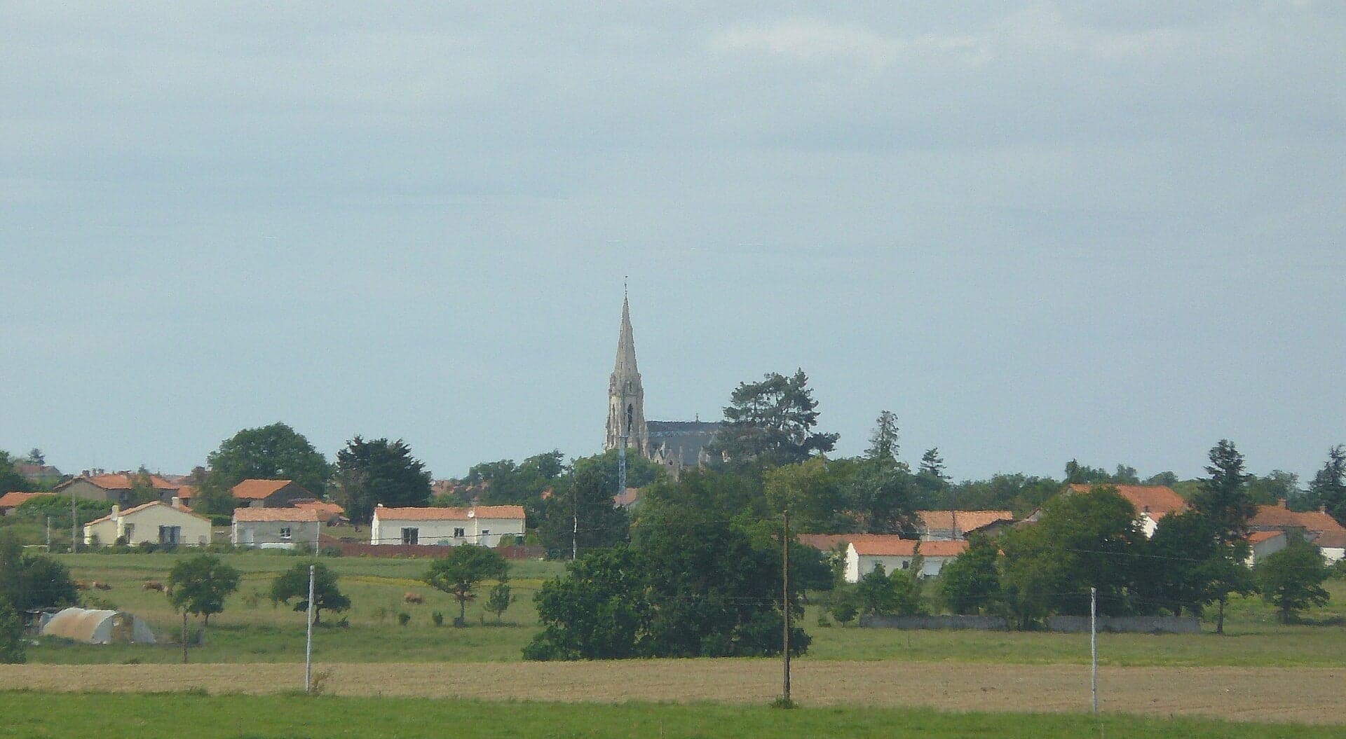 Photo de Aigrefeuille-sur-Maine (Loire-Atlantique)