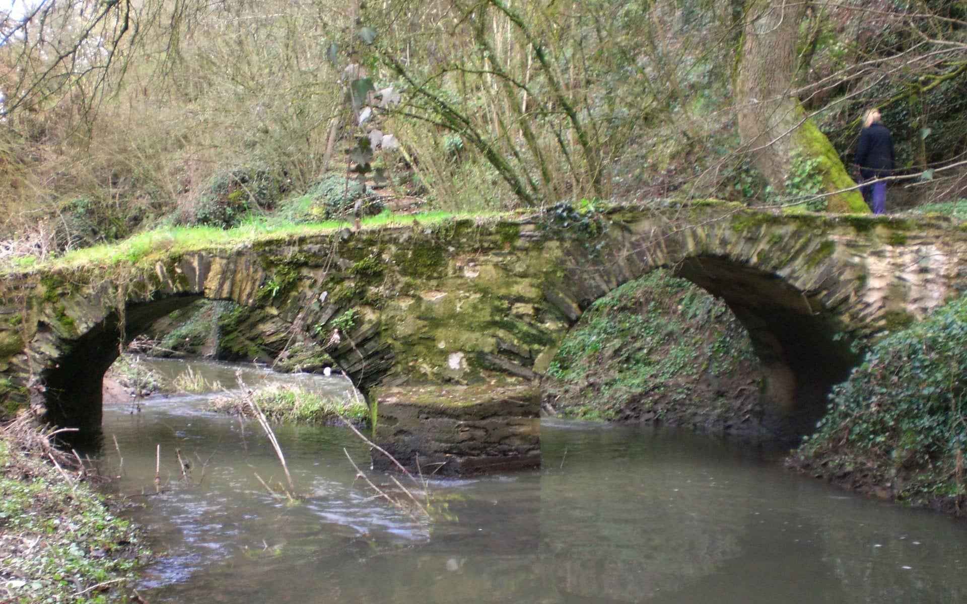 Photo de La Regrippière (Loire-Atlantique)