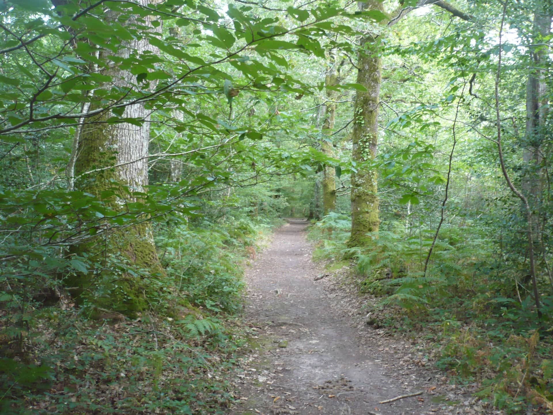 Photo de Le Bignon (Loire-Atlantique)