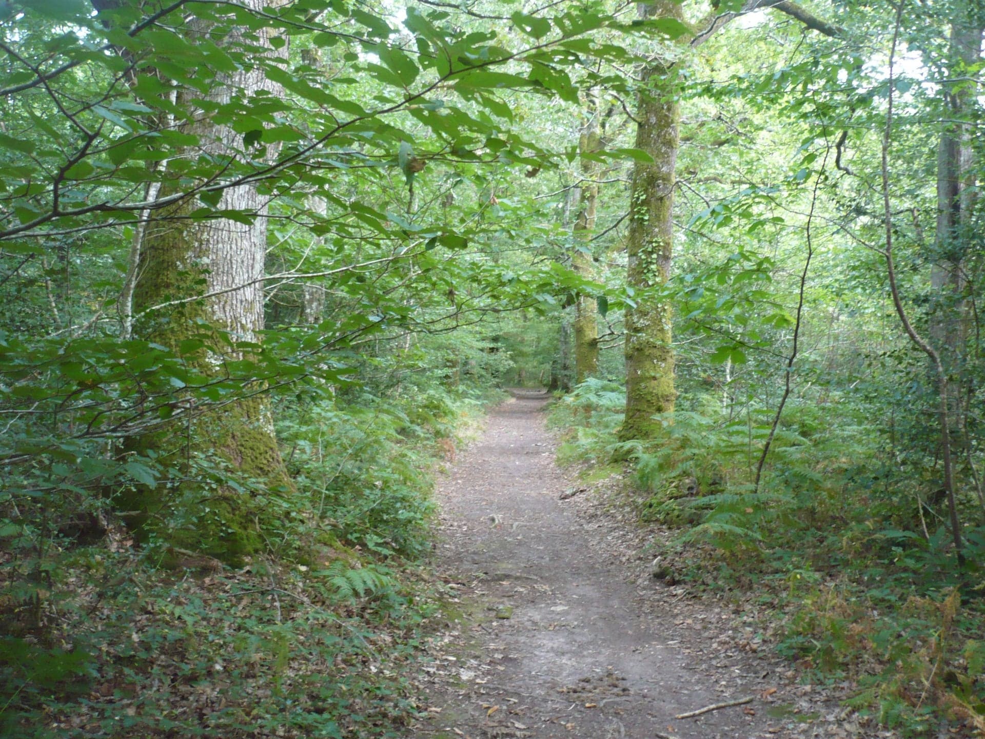 Photo de Le Bignon (Loire-Atlantique)