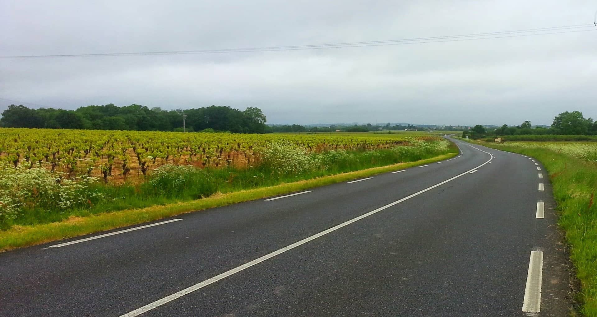 Photo de Le Pallet (Loire-Atlantique)