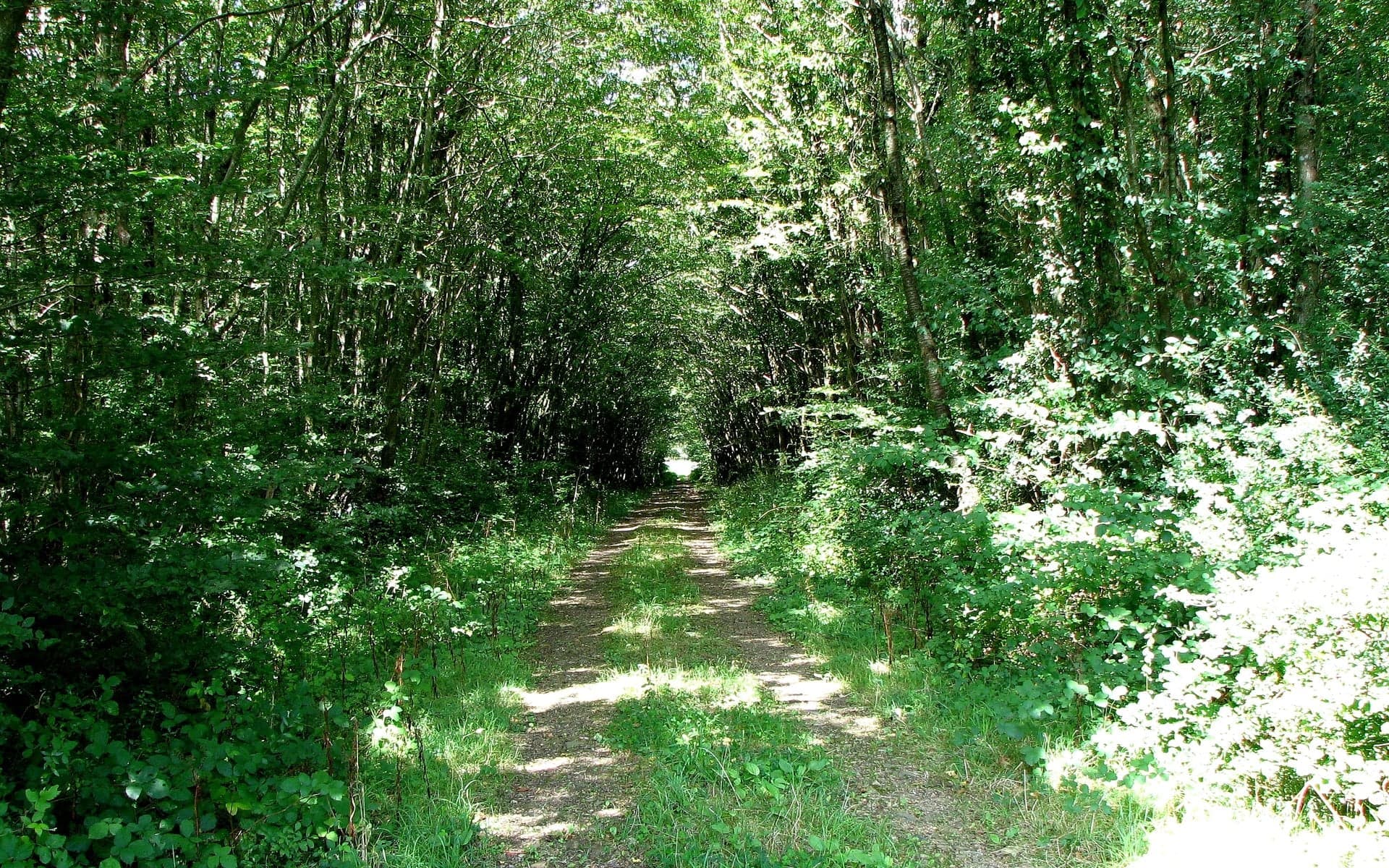 Photo de Maisdon-sur-Sèvre (Loire-Atlantique)
