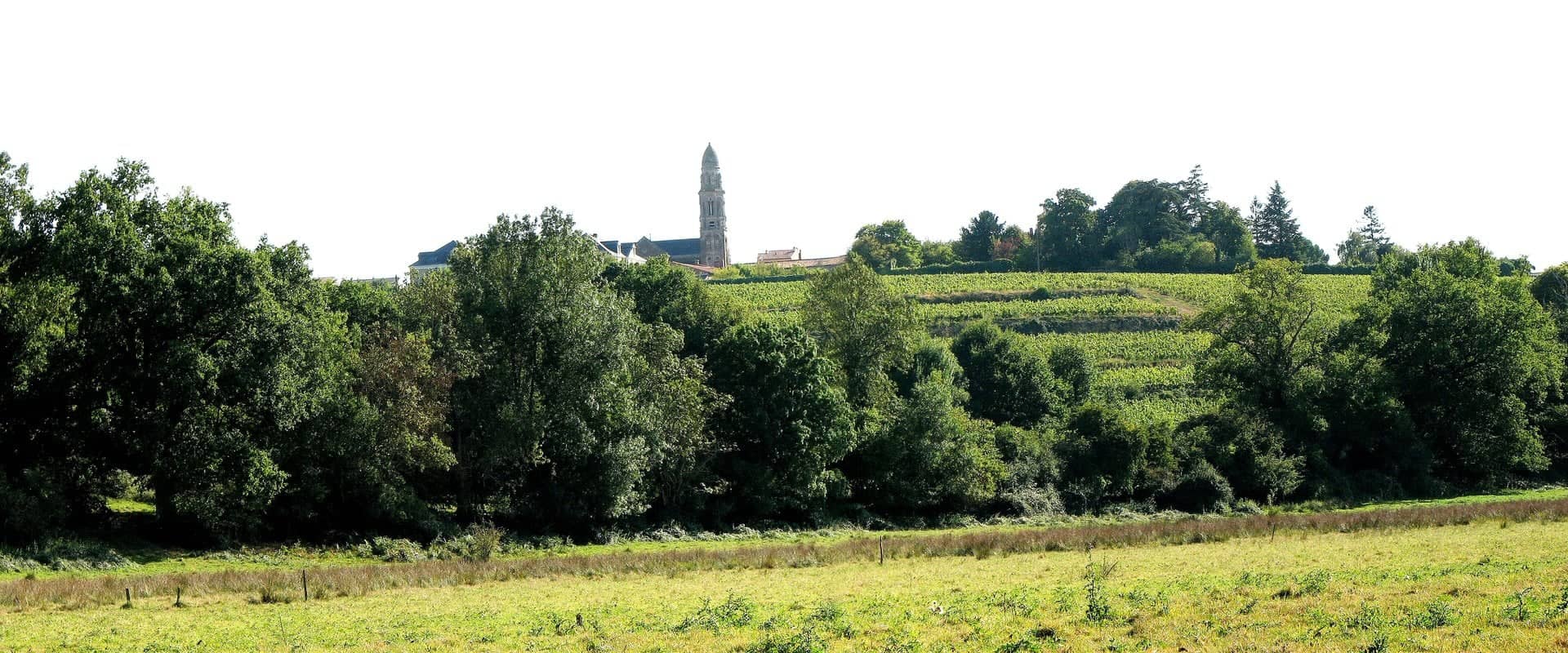 Photo de Saint-Fiacre-sur-Maine (Loire-Atlantique)