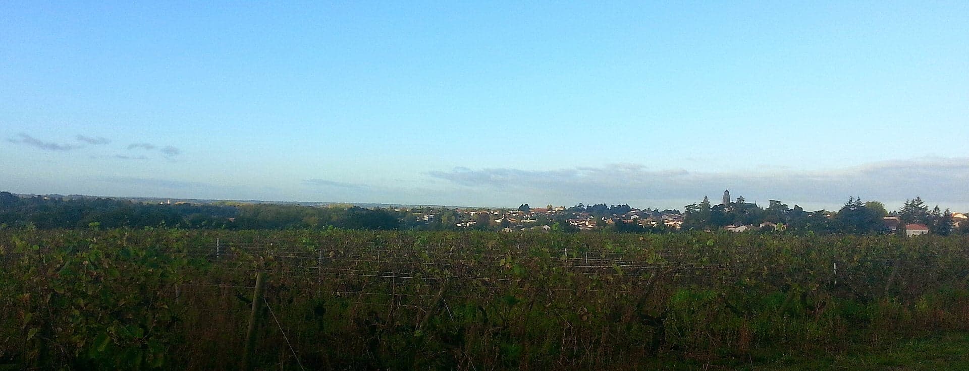 Photo de Vallet (Loire-Atlantique)